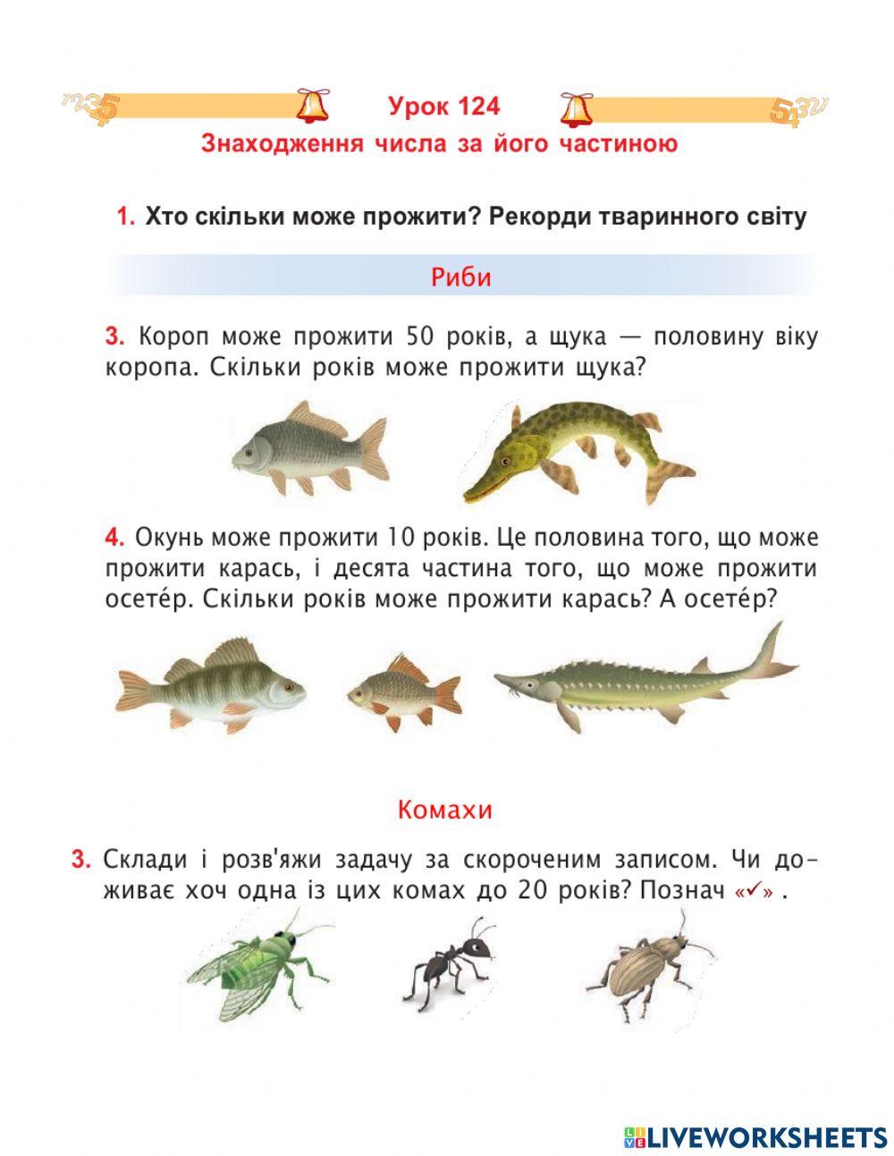 Математика