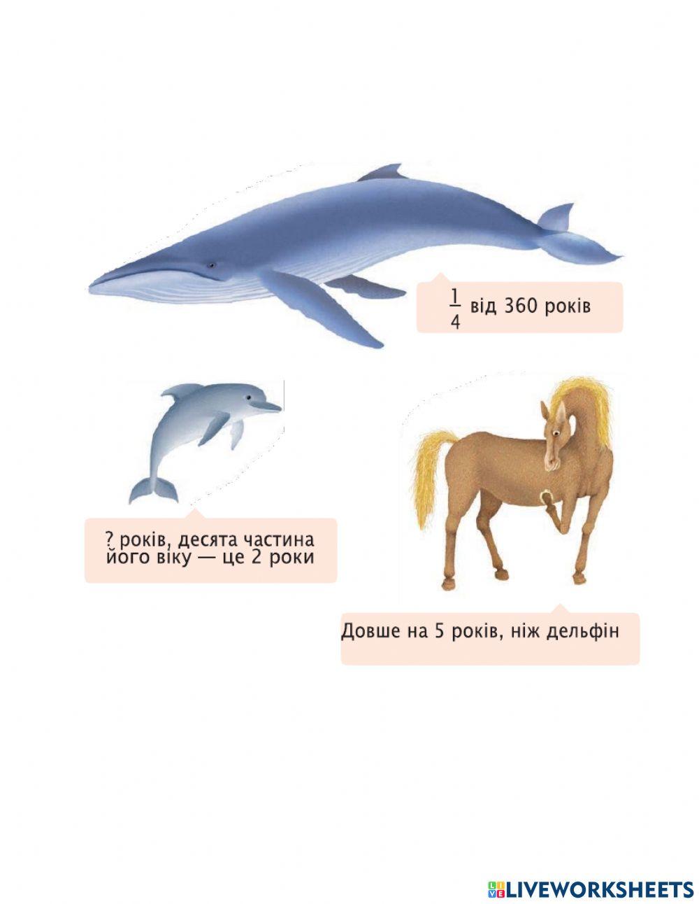 Математика