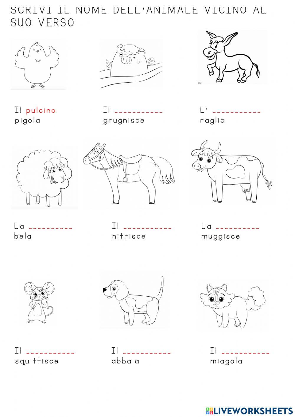 Versi degli animali