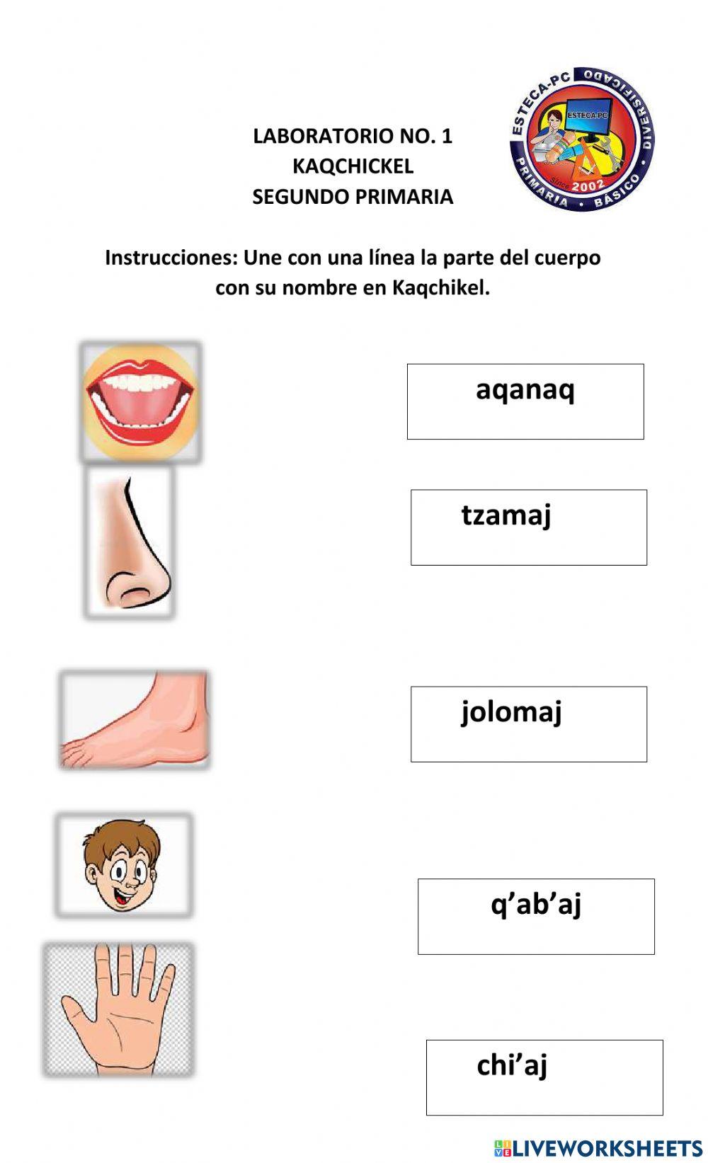 Familia y partes del cuerpo