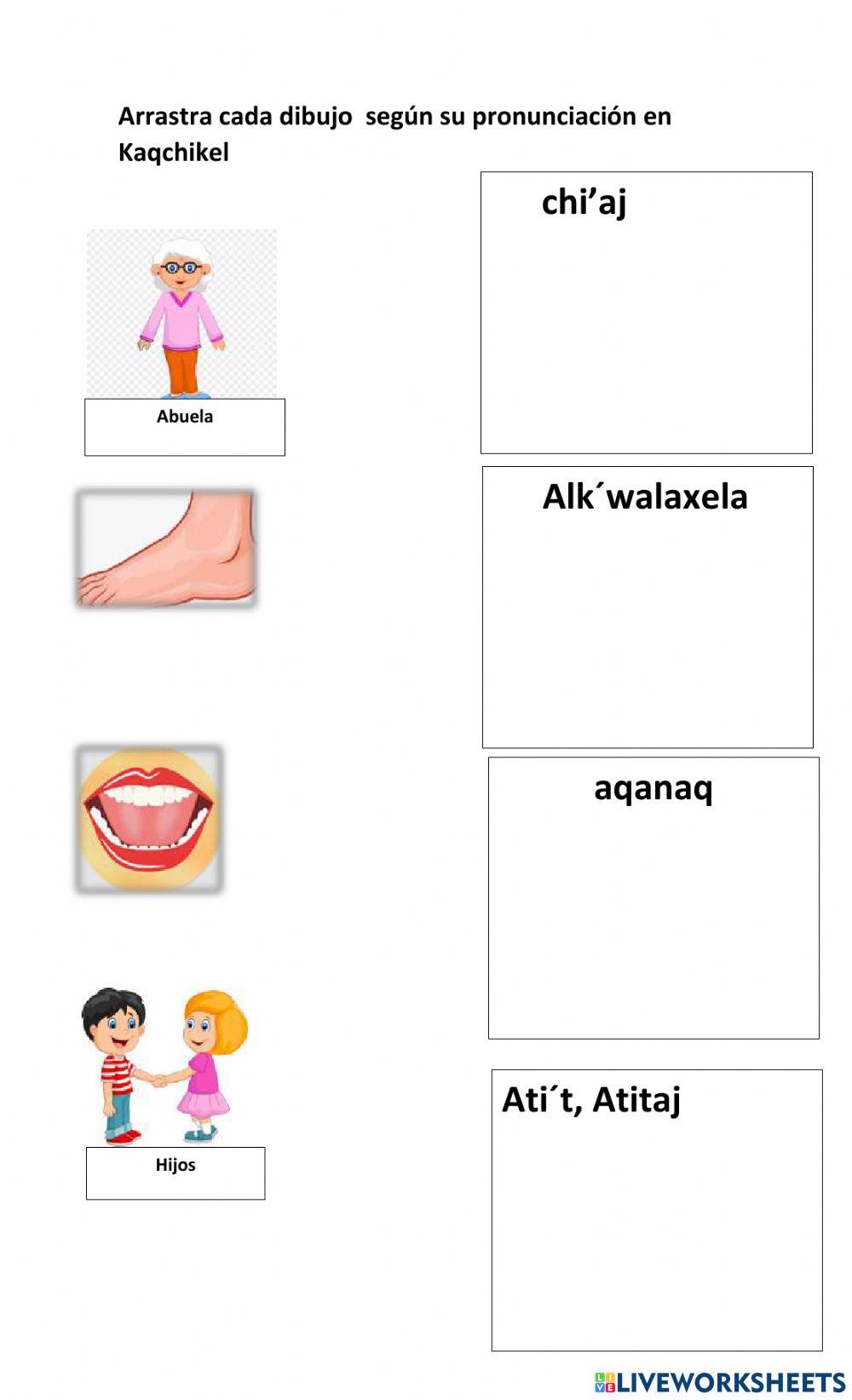 Familia y partes del cuerpo