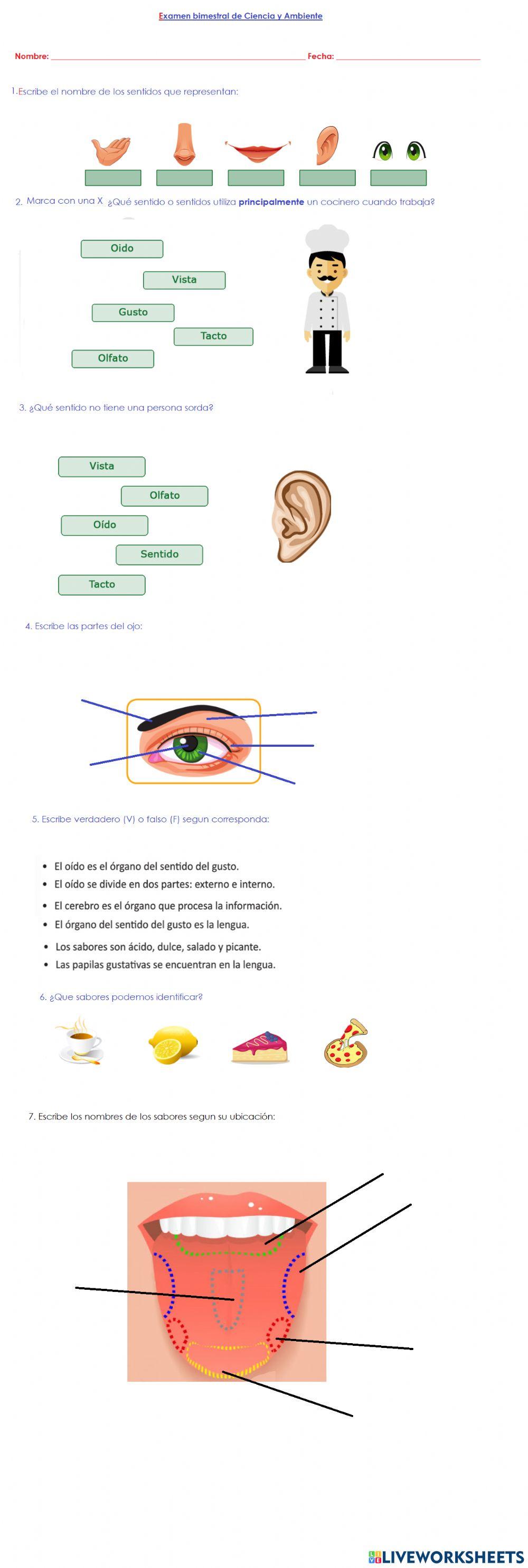 Examen de los sentidos