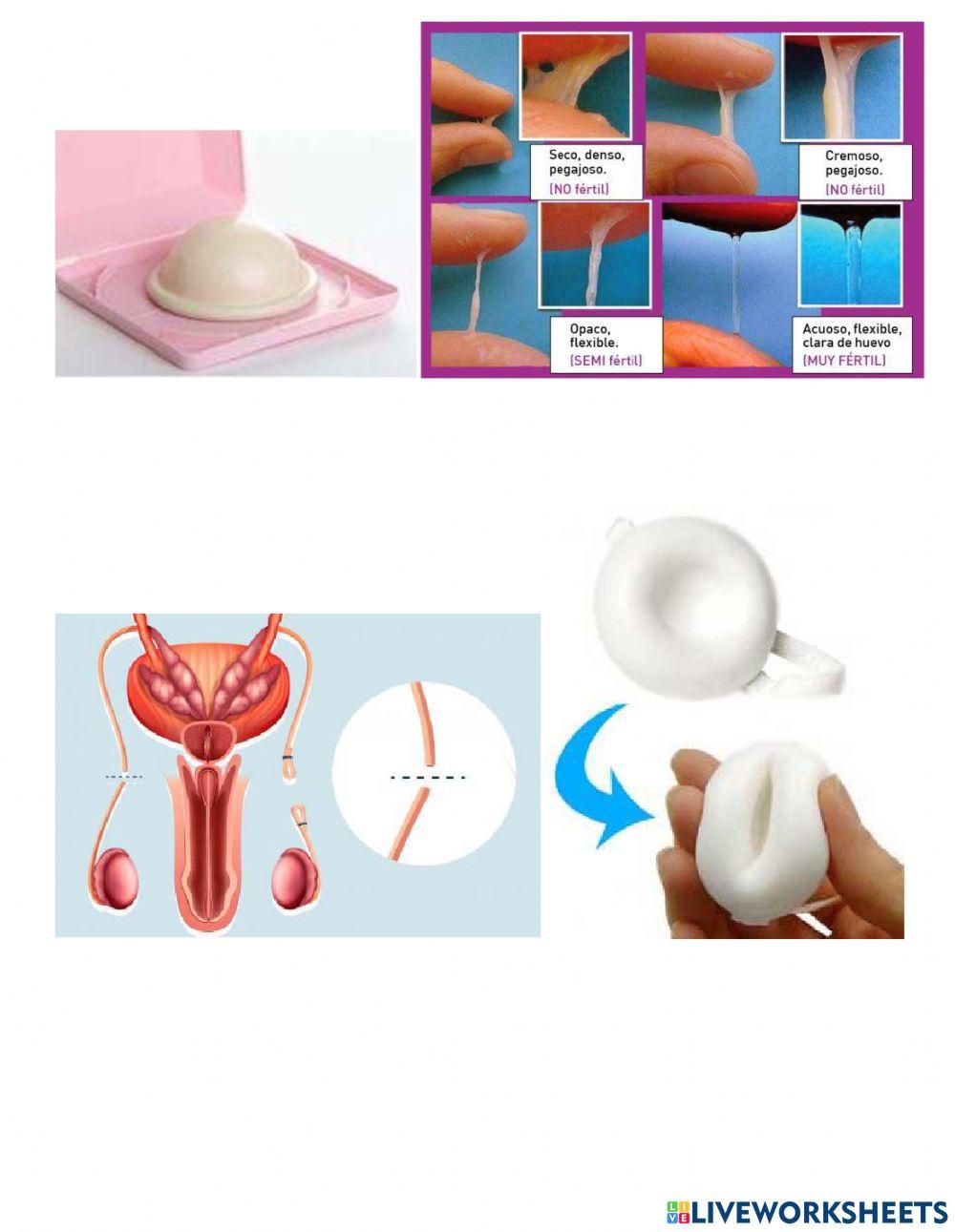 Control n°2 Ciencias