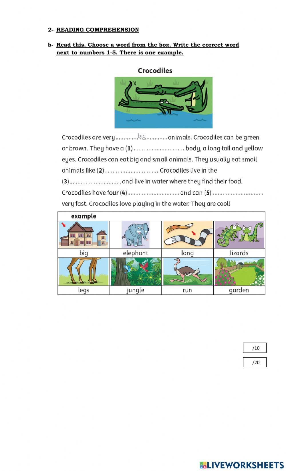 Term test 1 - Skills - G3