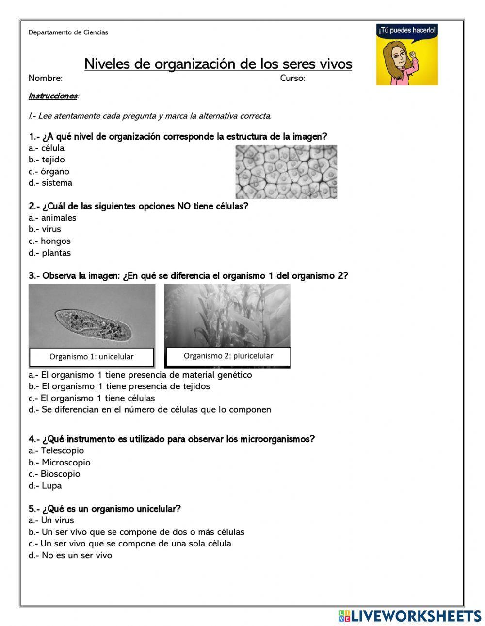 Niveles de organización de los seres vivos
