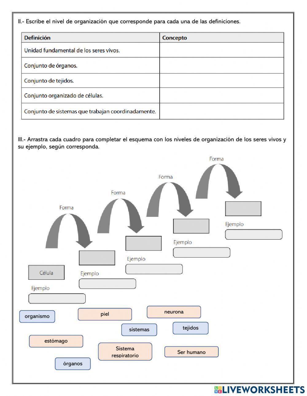 Niveles de organización de los seres vivos
