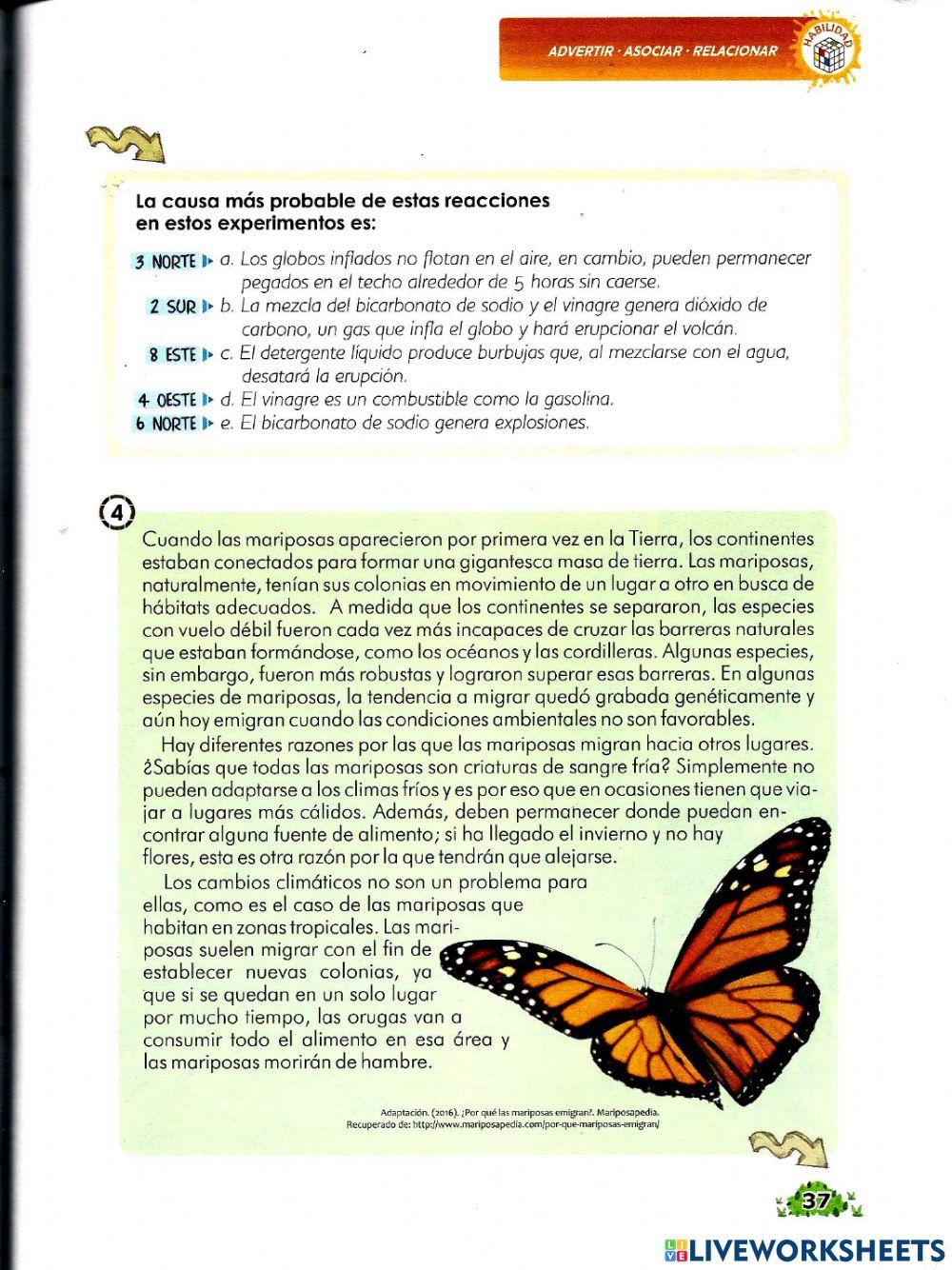 Reto 8 método lúdico