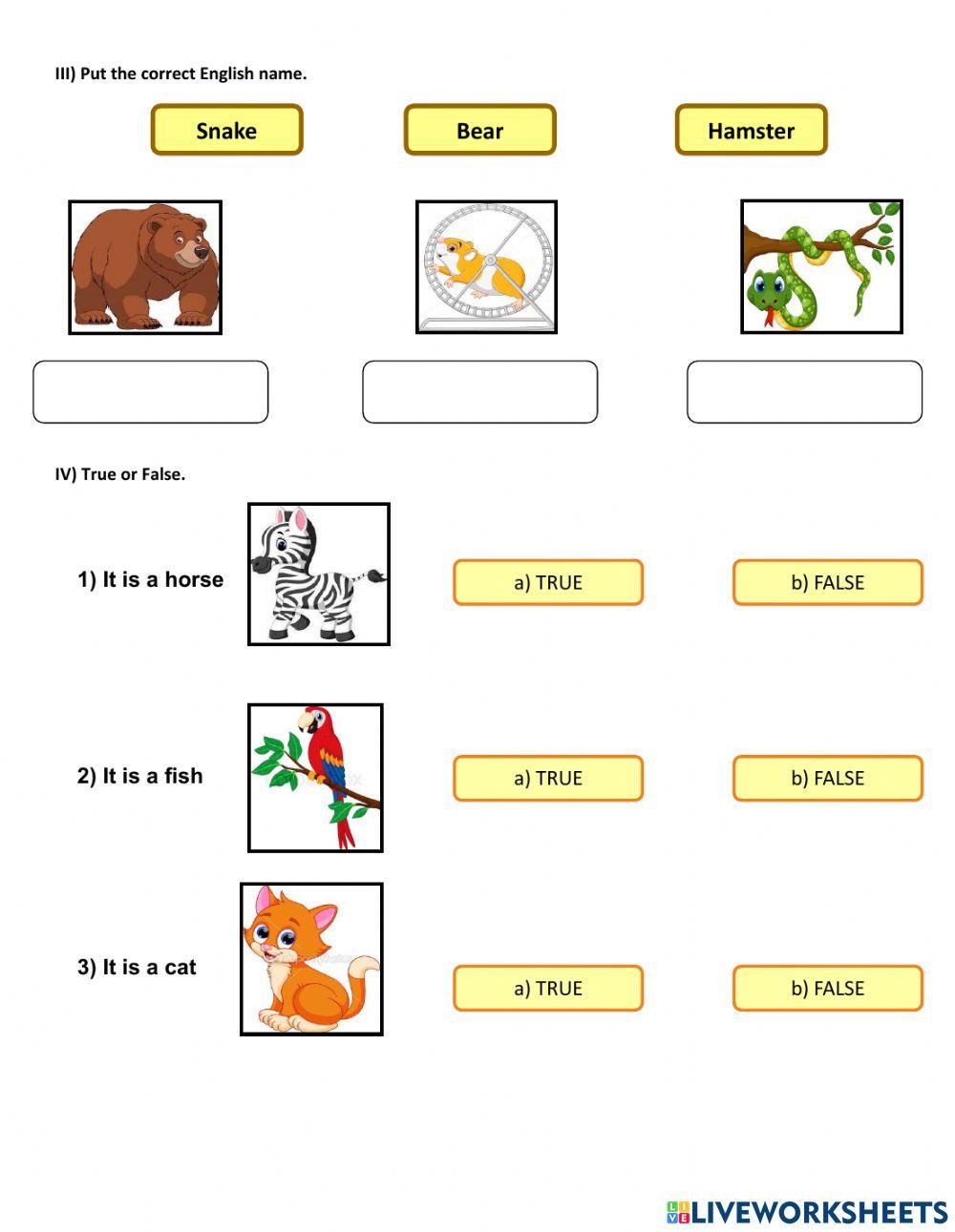 Zoo Animals and Pets