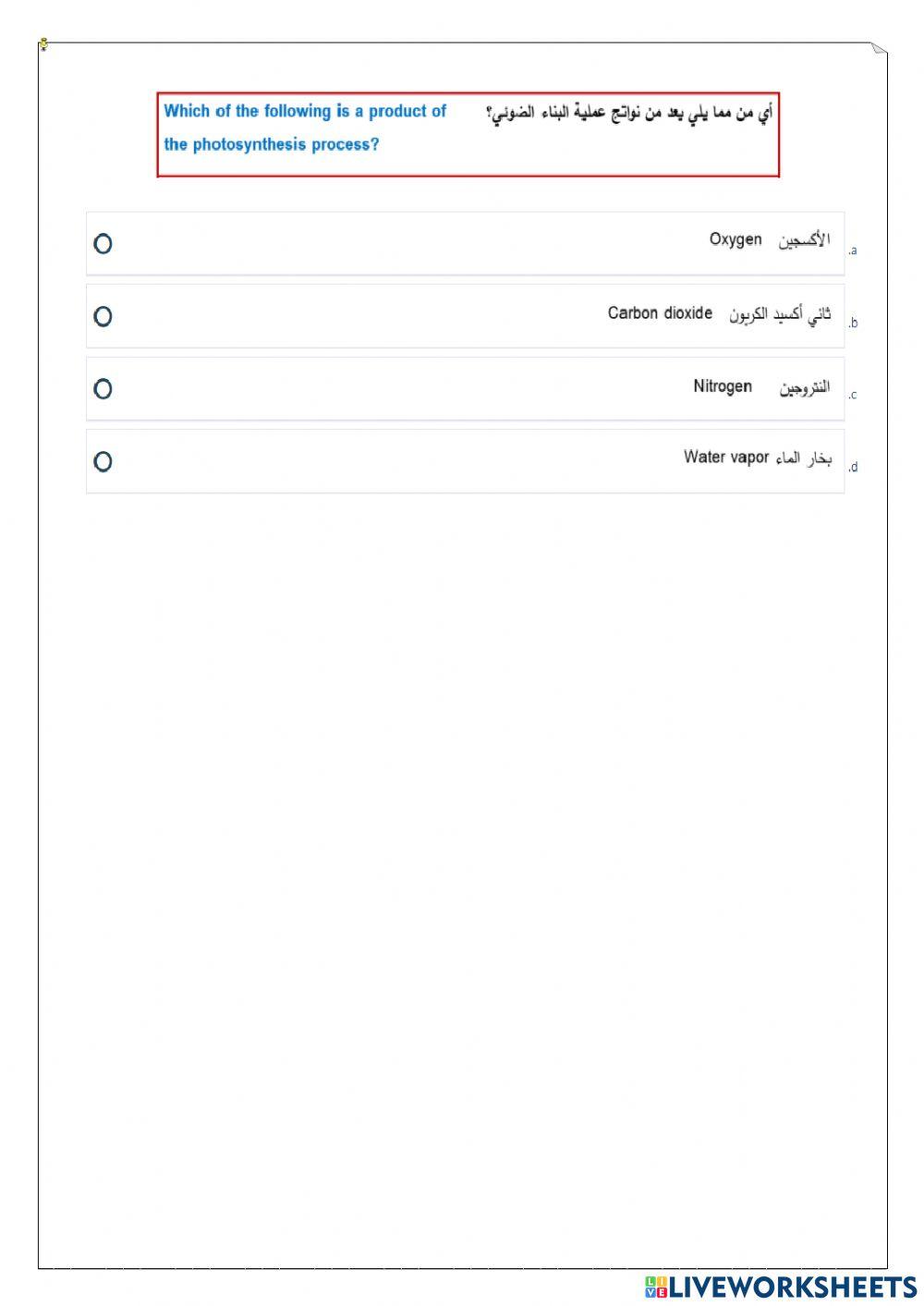 ورقة عمل تفاعلية