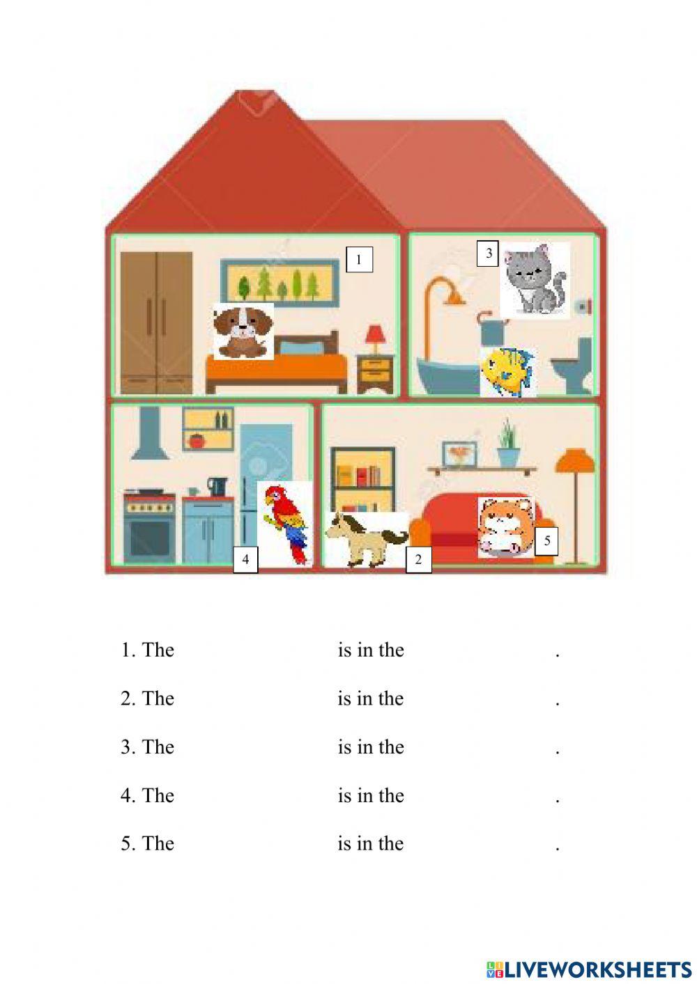 My house is too small