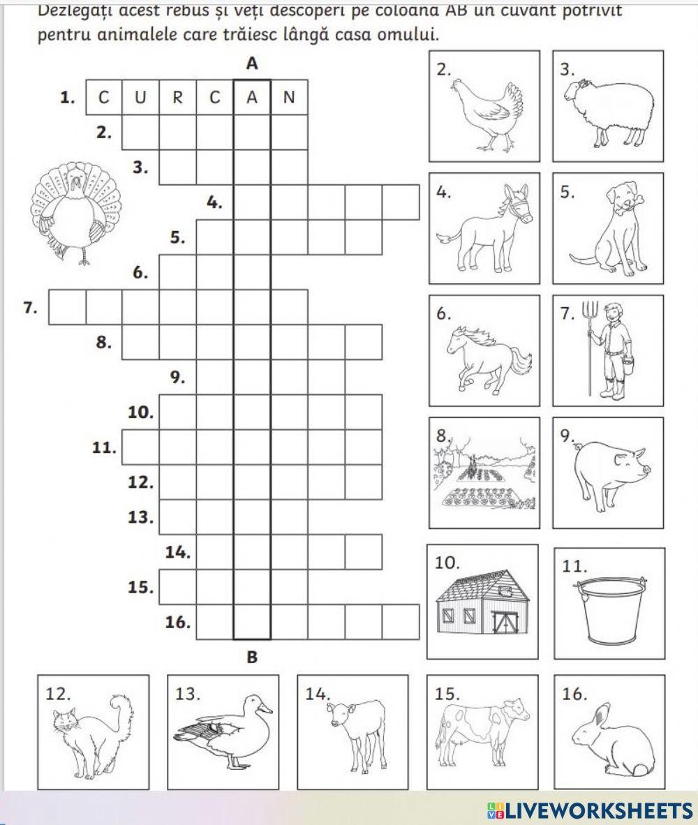 Animale domestice activity for 5 | Live Worksheets