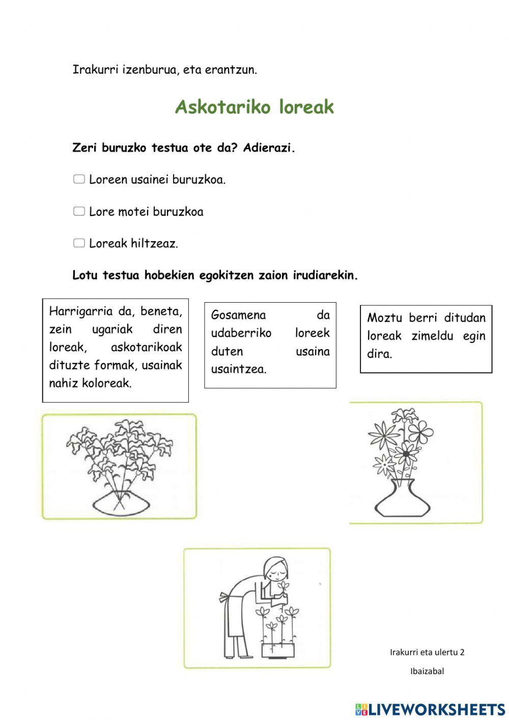 Irakurmenaren ulermena