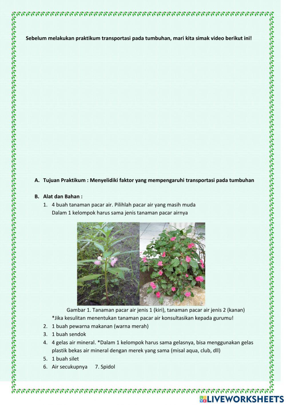 Aplikasi Tekanan Zat pada Tumbuhan