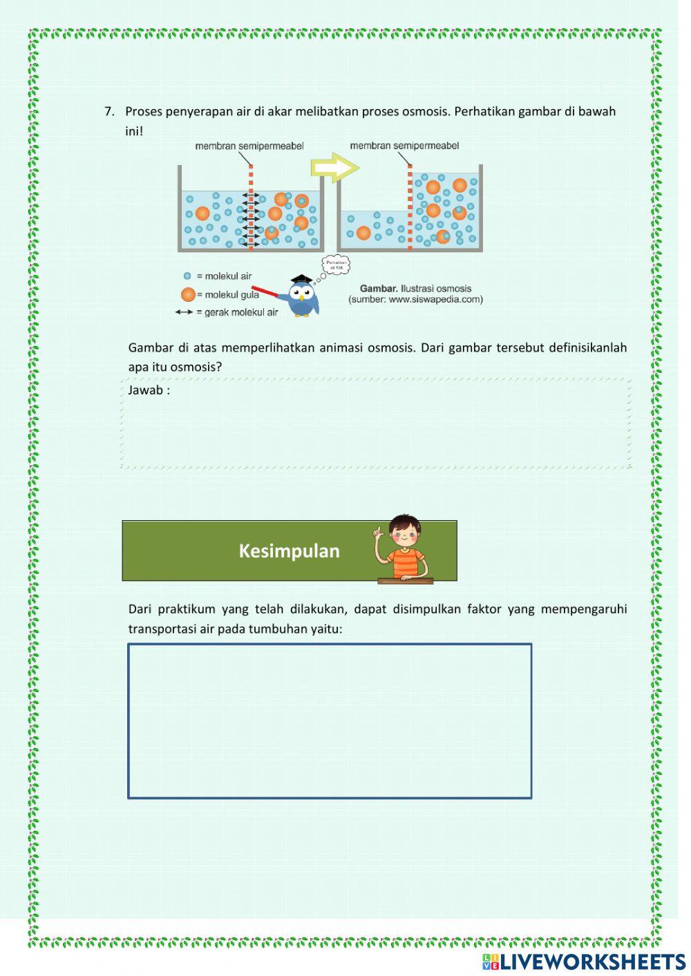Aplikasi Tekanan Zat pada Tumbuhan