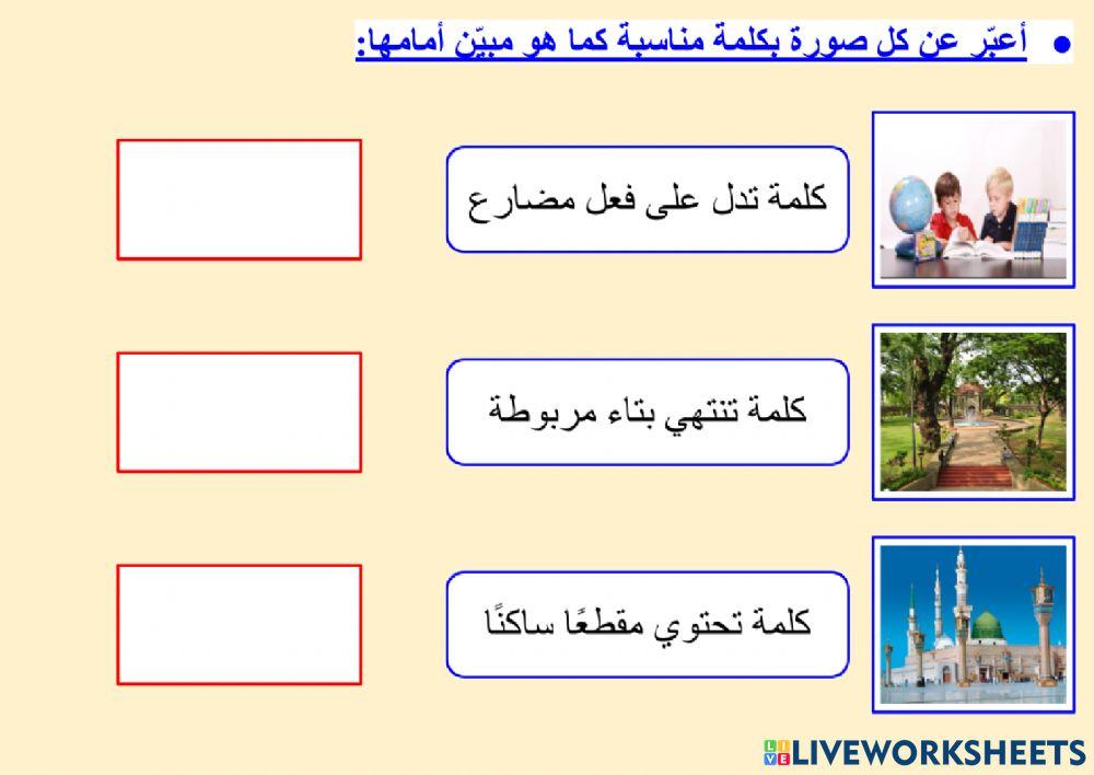 الكتابة الوظيفة - التعبير عن الصور بكلمات - ١