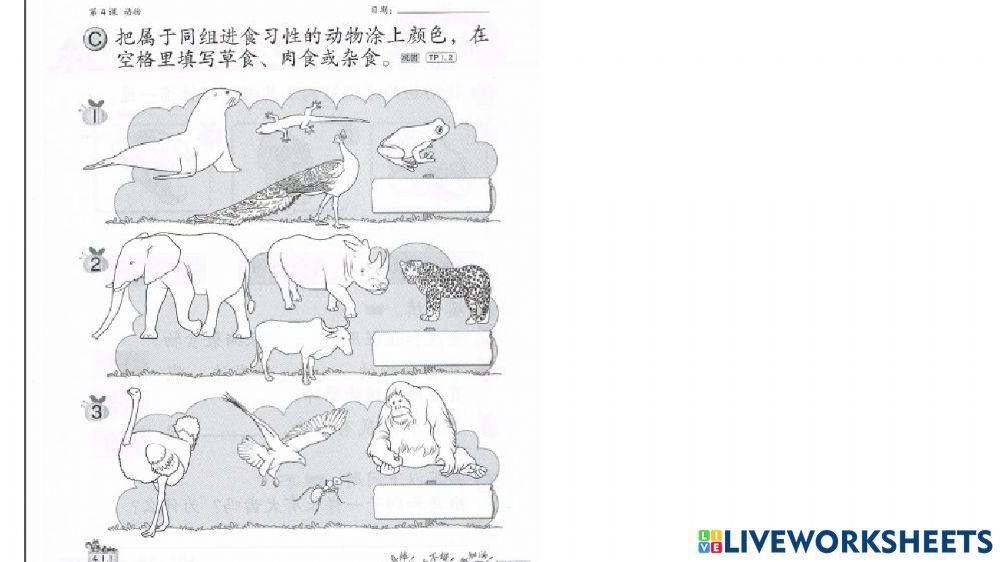 动物的进食习性