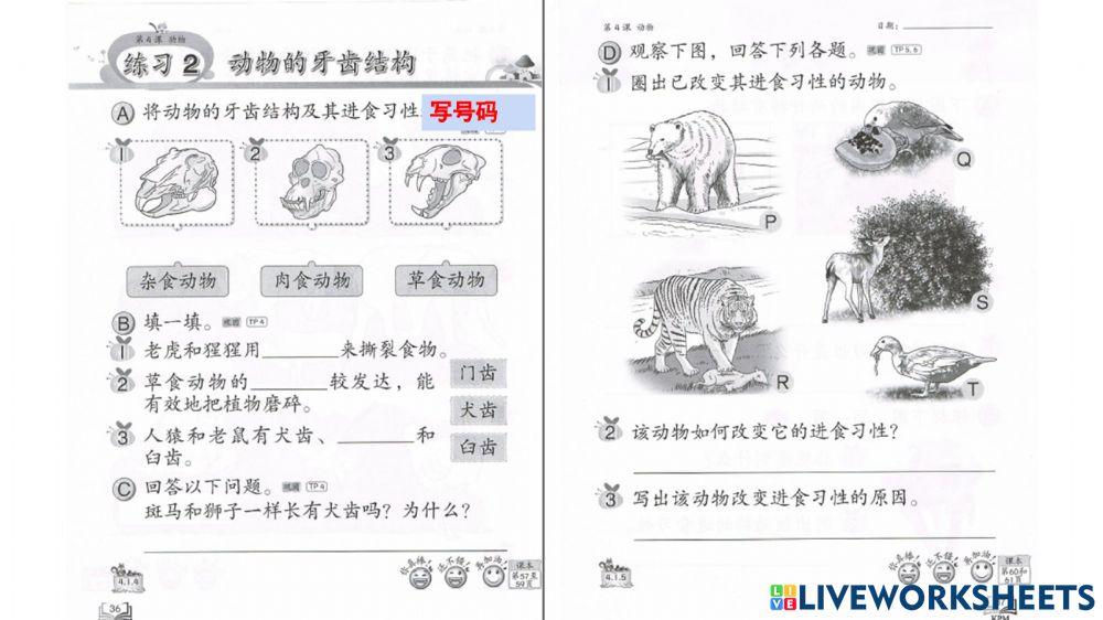 动物的进食习性