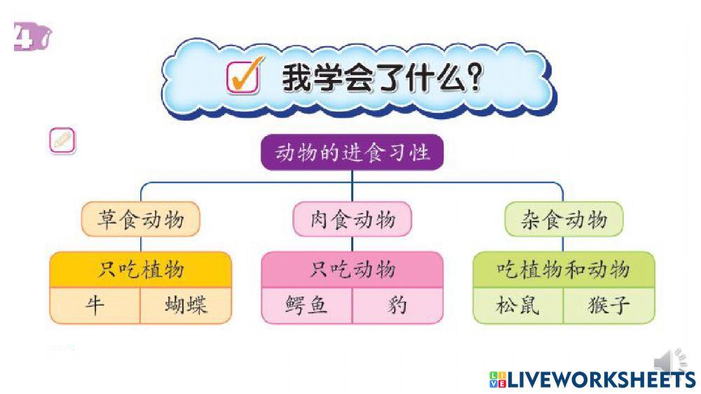 动物的进食习性