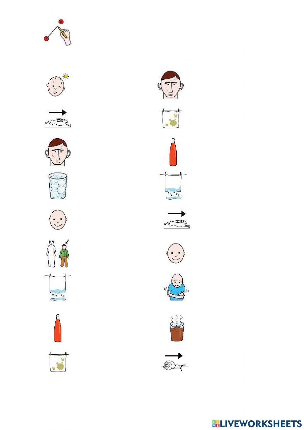 Ficha Sinónimos Pictos