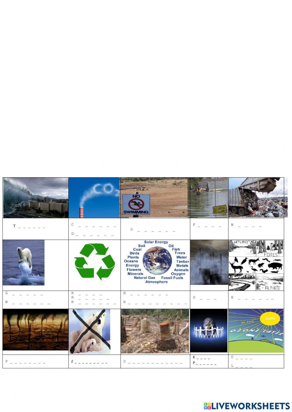 Environmental issues vocabulary