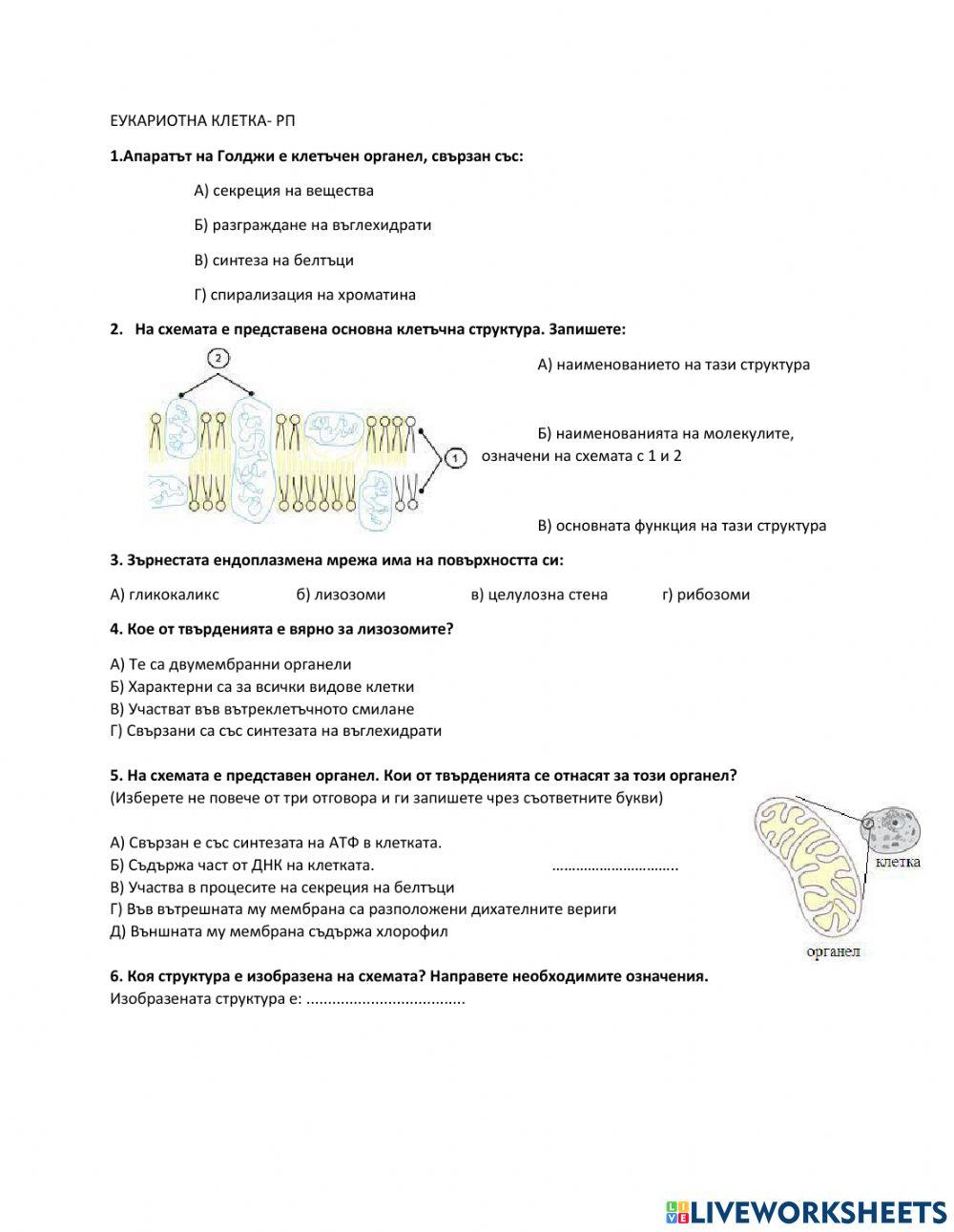 Биология Биология