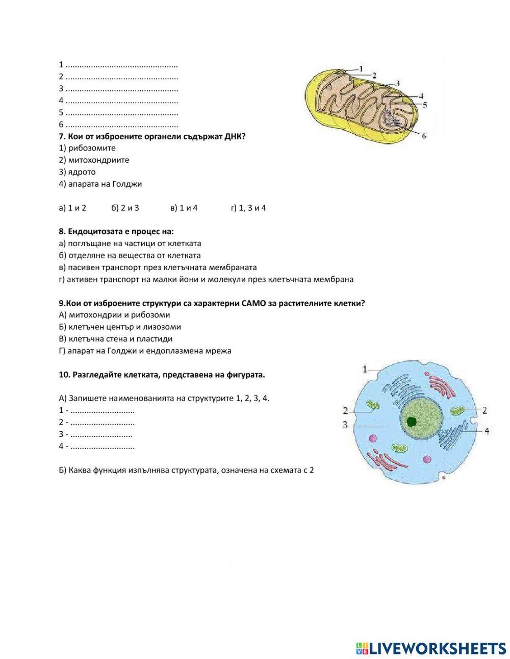 Биология Биология