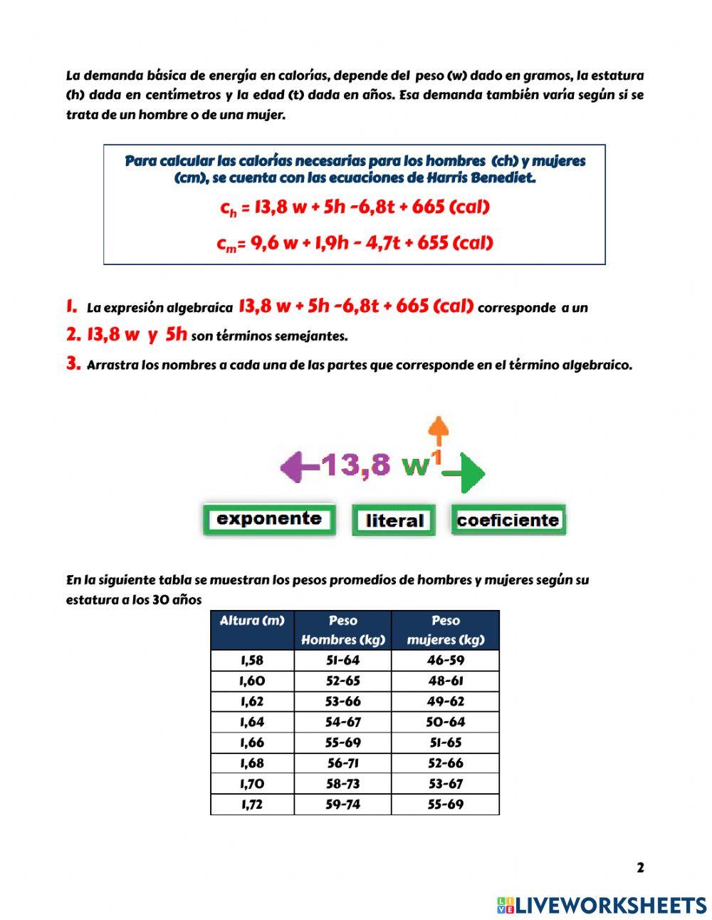 Aplicación expresiones algebraicas al cuerpo humano