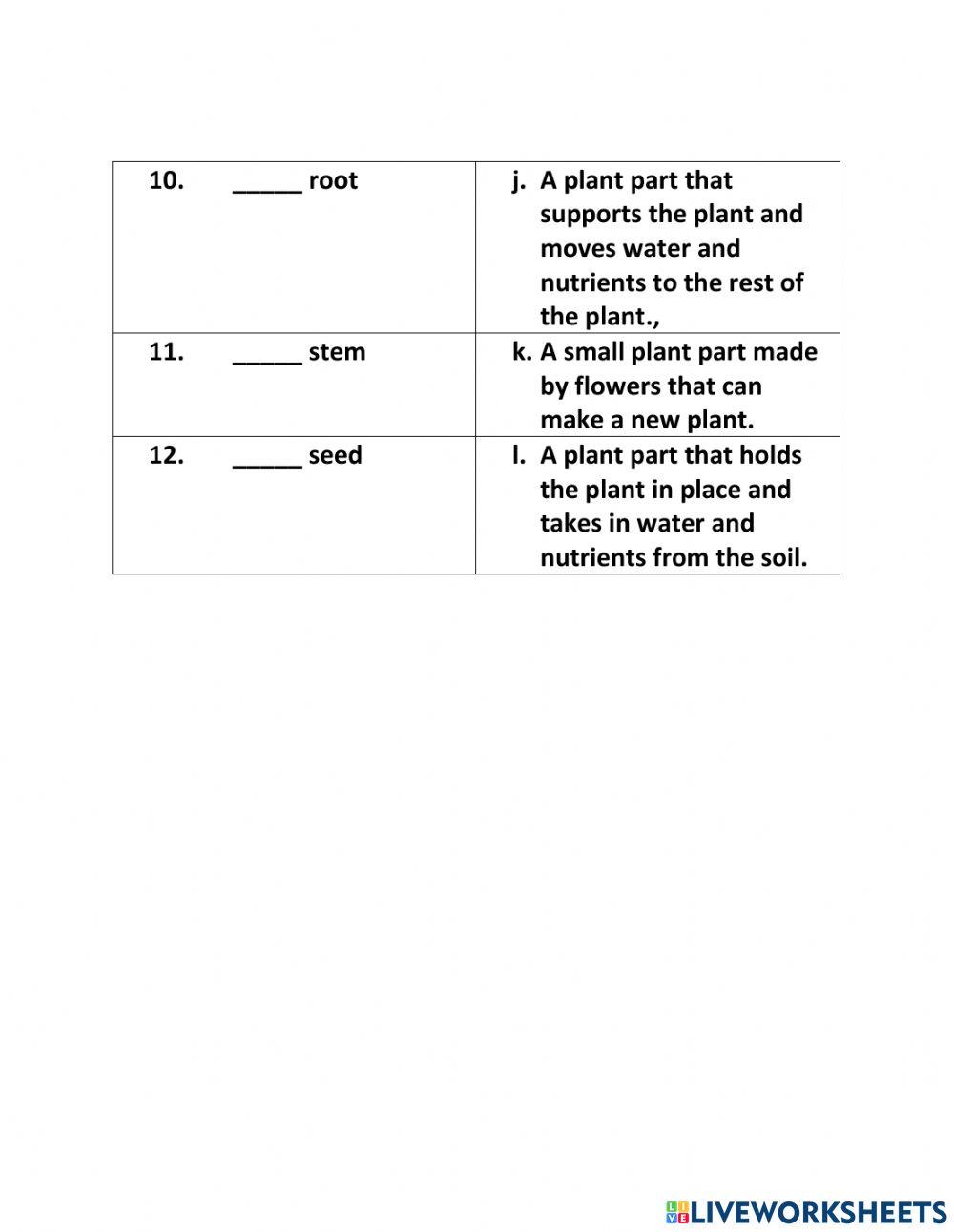 May Vocabulary words