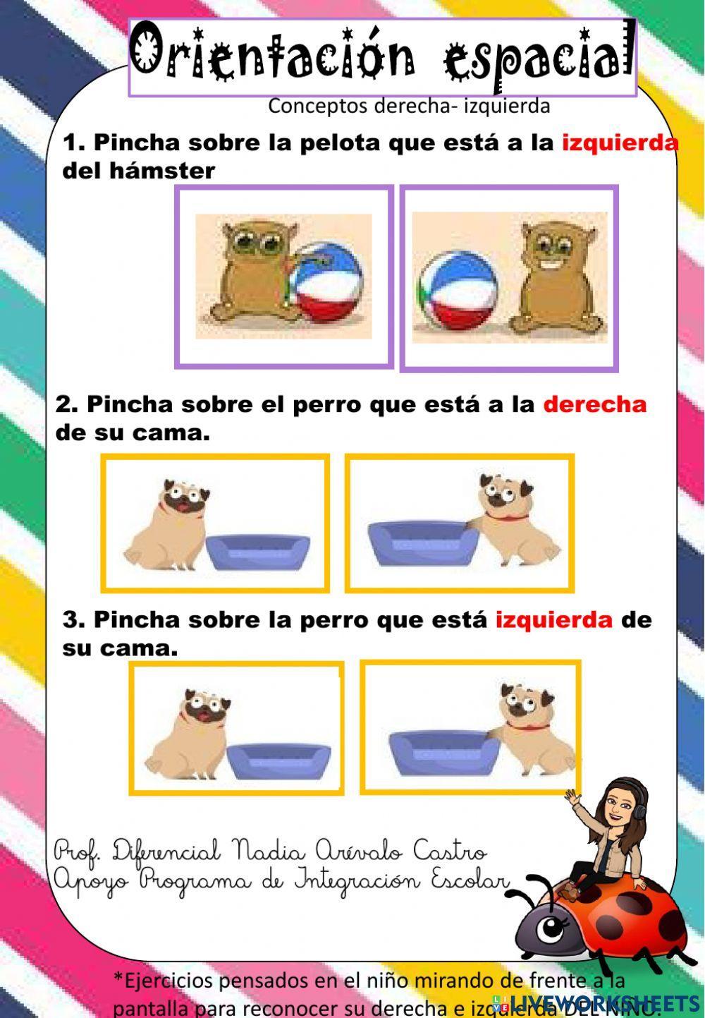 Orientación espacial