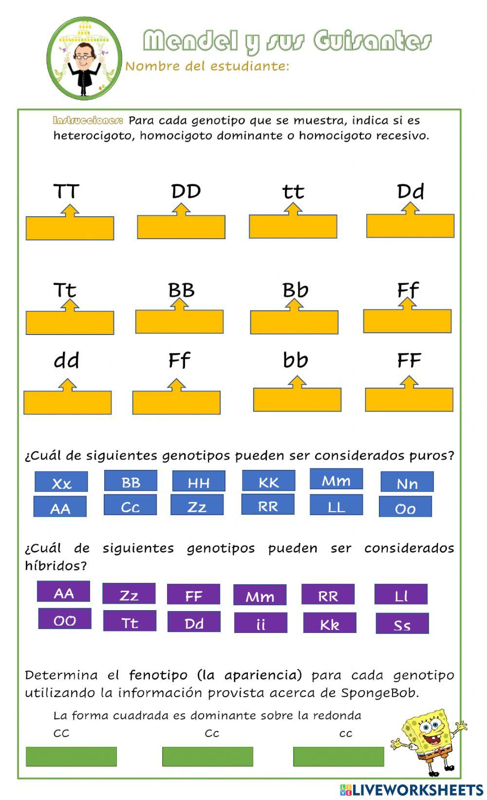 Mendel y sus guisantes