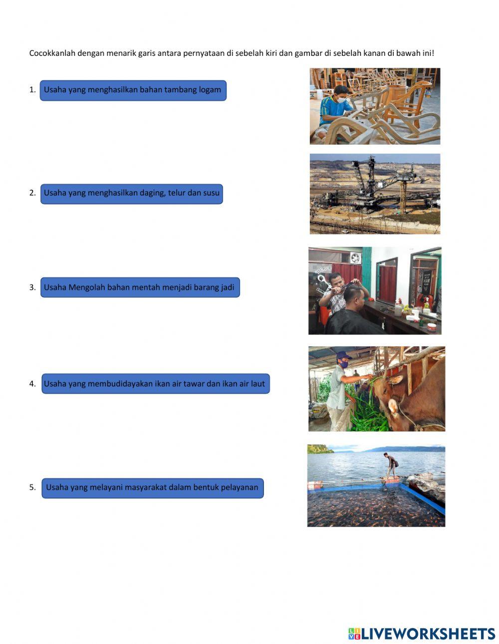 Jenis usaha masyarakat indonesia