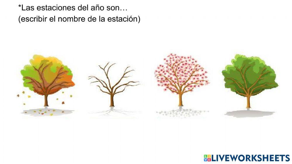 El sol a lo largo del año