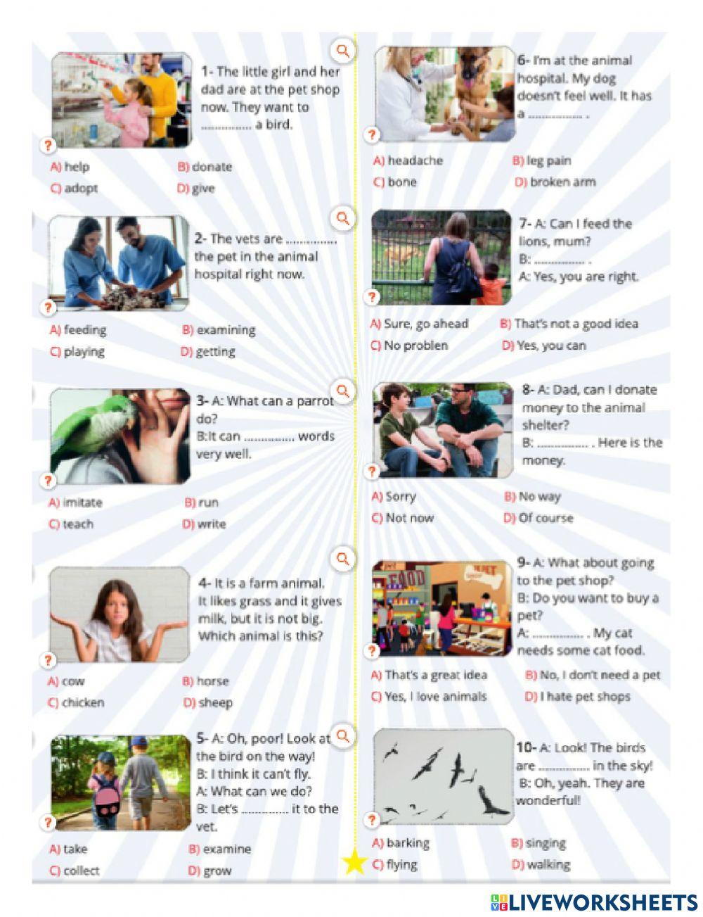 7TH MAY THE ANIMAL SHELTER HOMEWORK