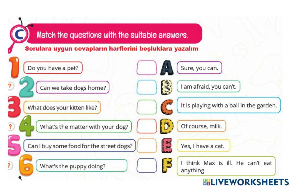 7TH MAY THE ANIMAL SHELTER HOMEWORK