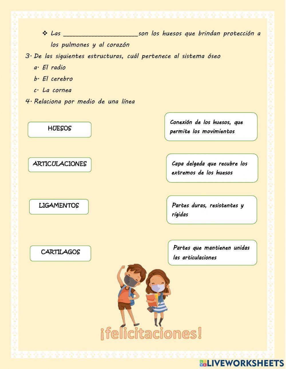Sistema óseo Sistema óseo