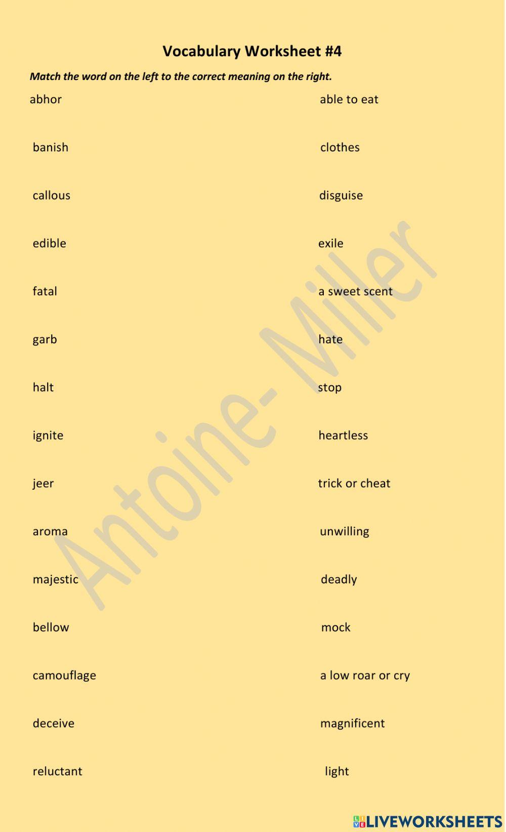 Vocabulary Worksheet-3