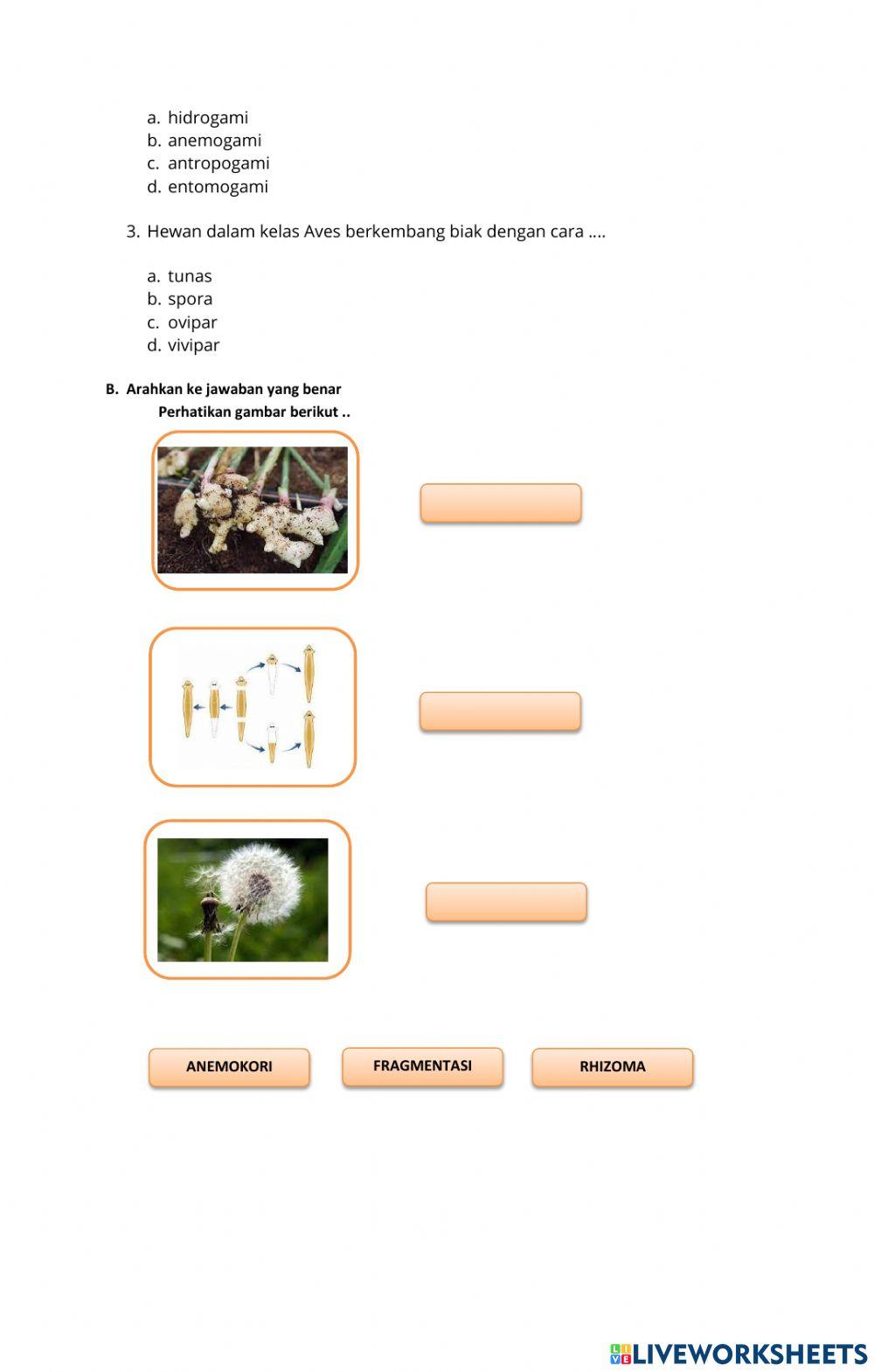 LKPD REPRODUKSI TUMBUHAN DAN HEWAN