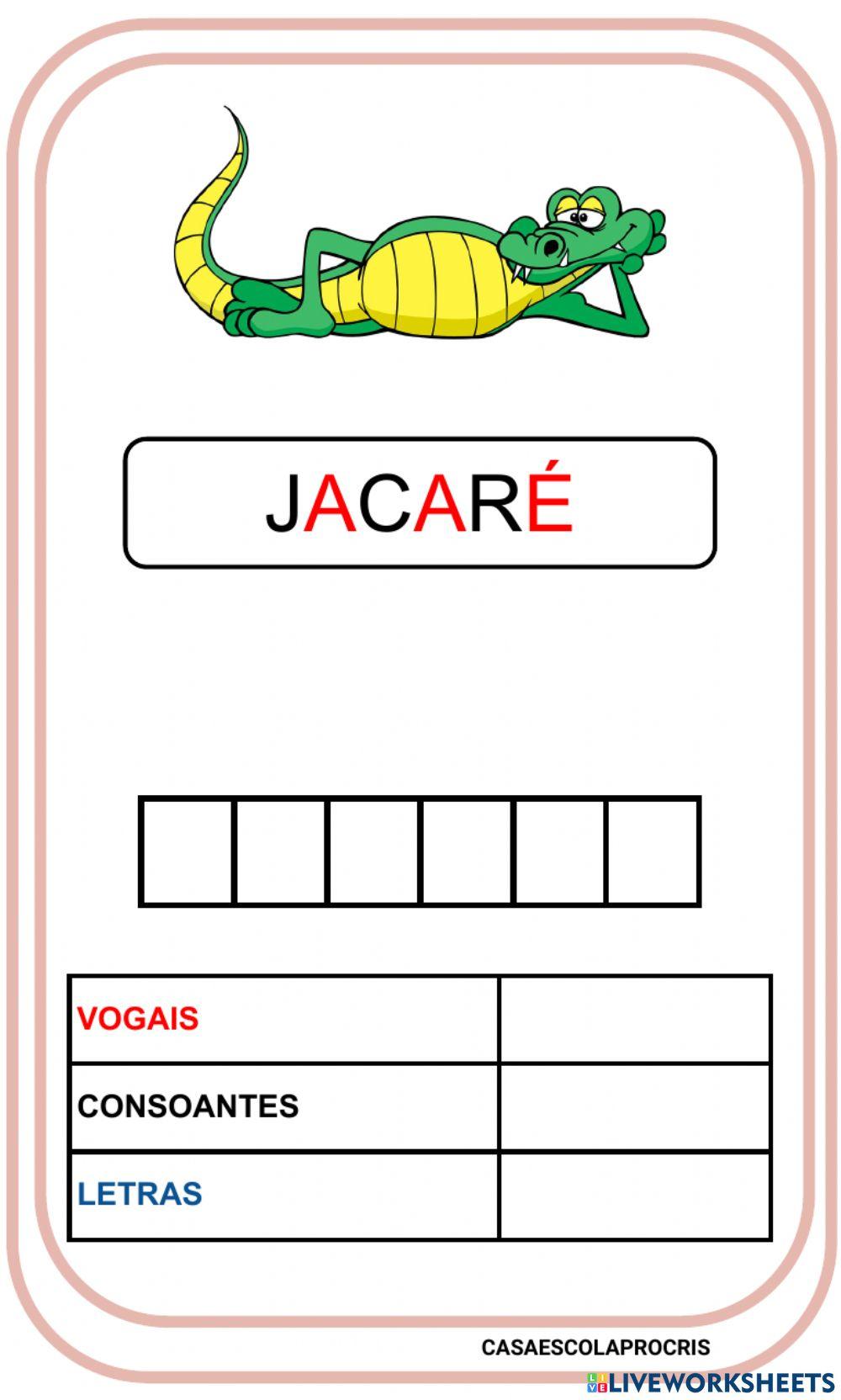 Construção das palavras