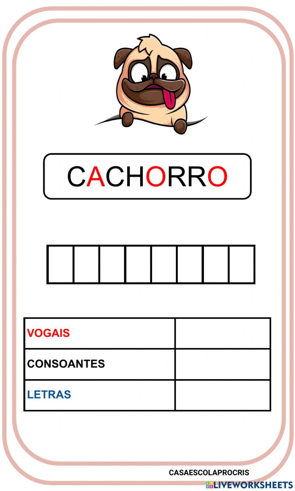 Construção das palavras