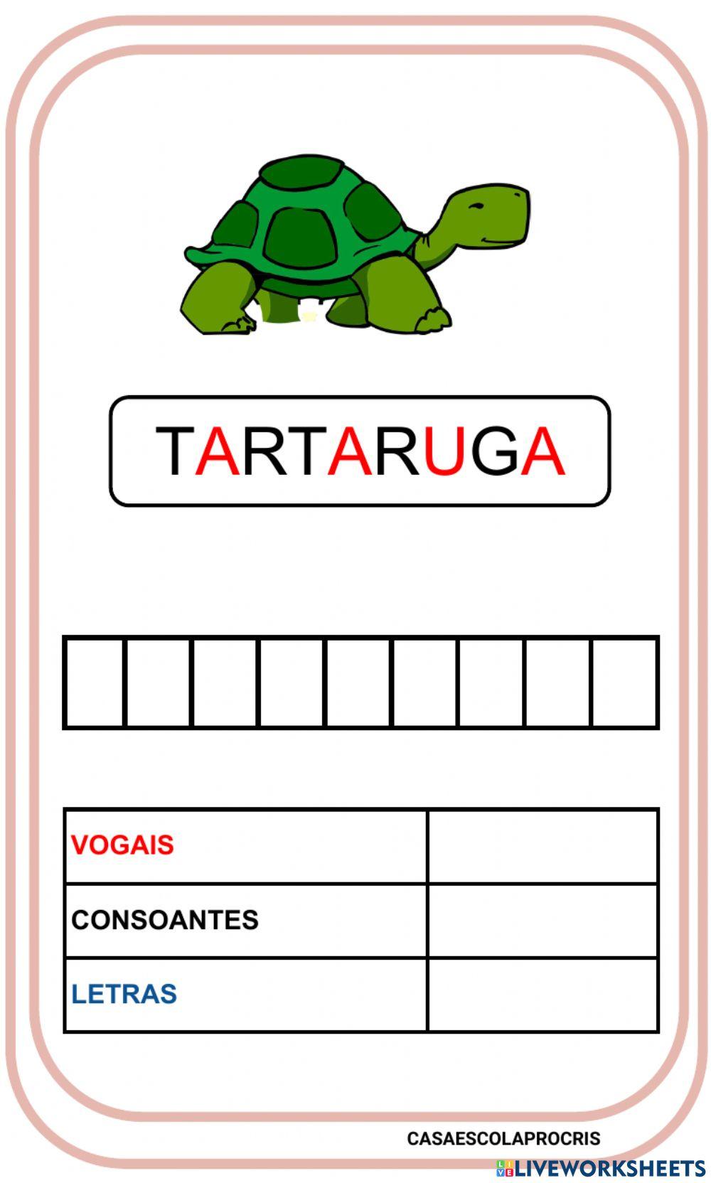 Construção das palavras