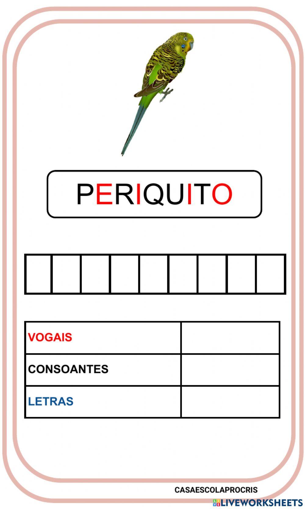 Construção das palavras