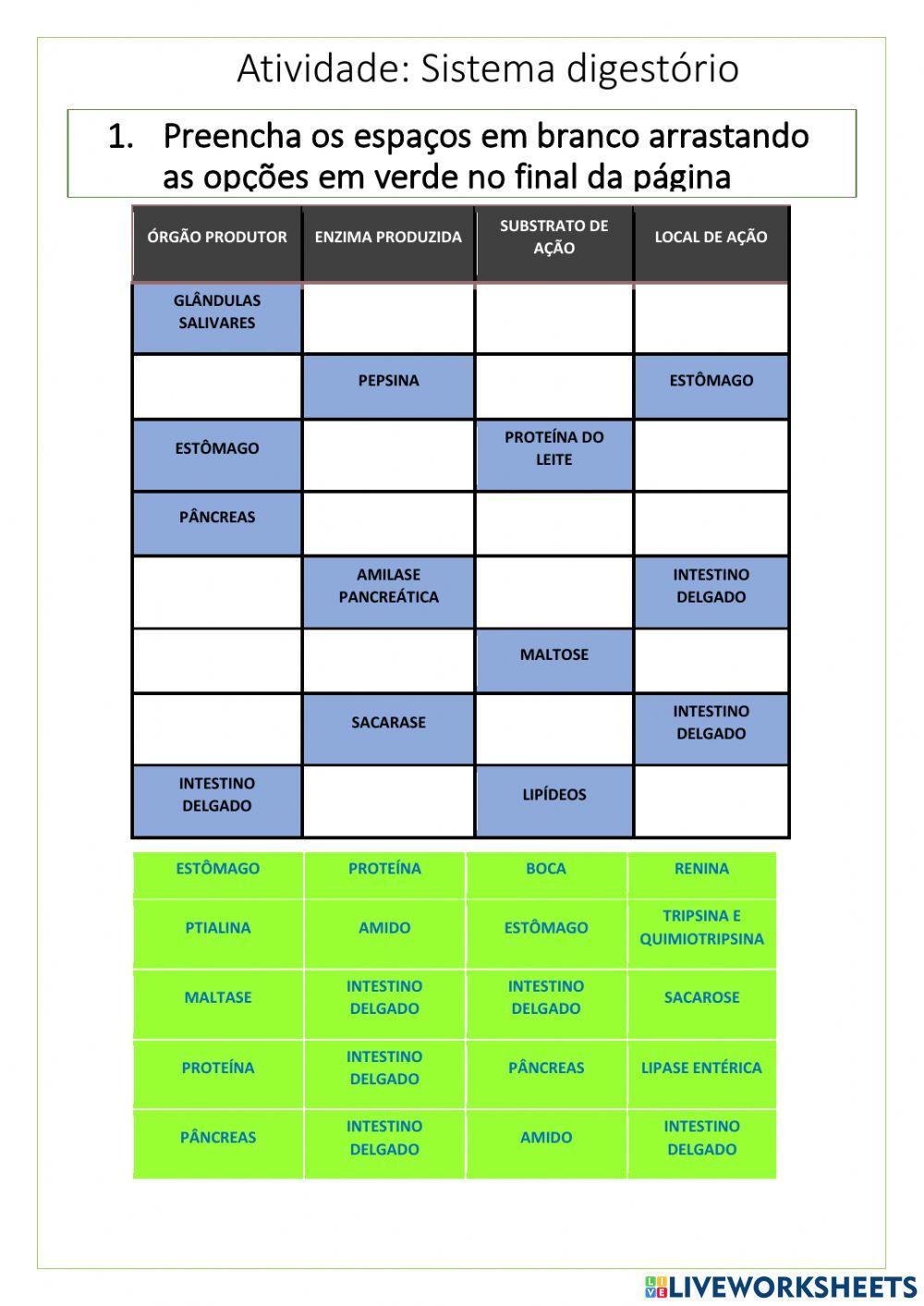 Atividade Sistema digestório e enzimas digestivas