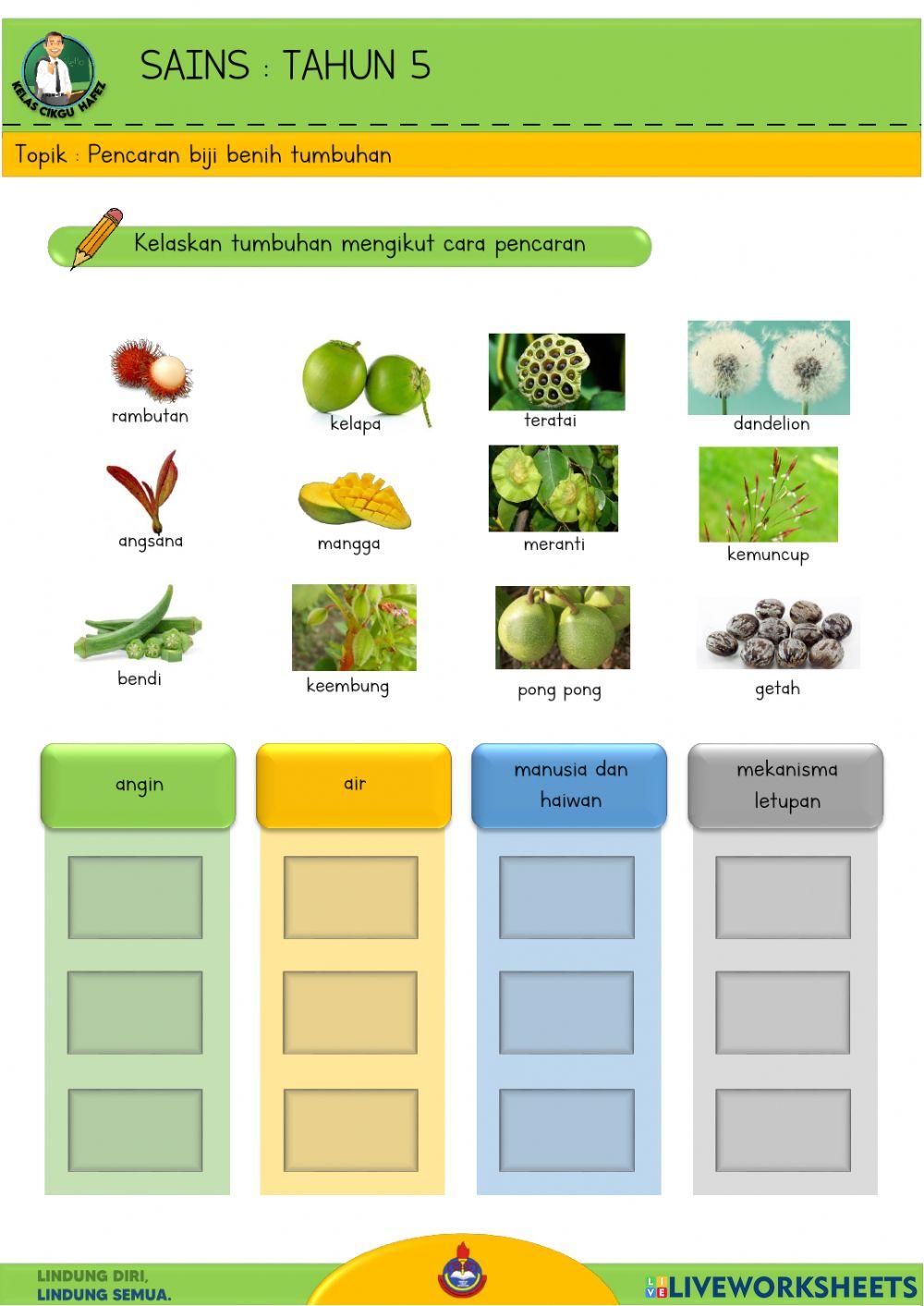 Sains T5 - Pencaran biji benih