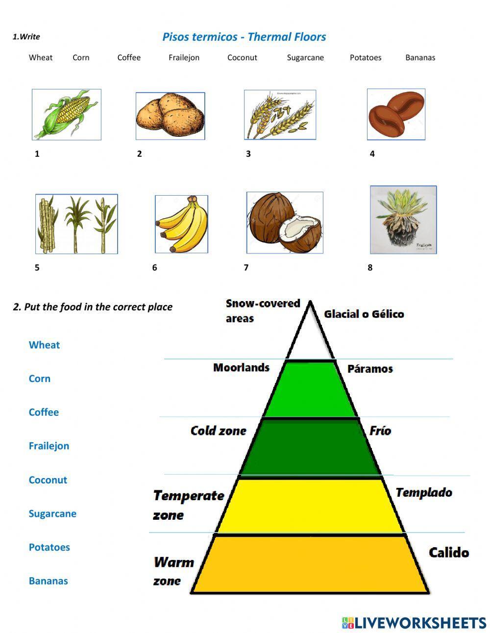 Pisos térmicos - Thermal floors