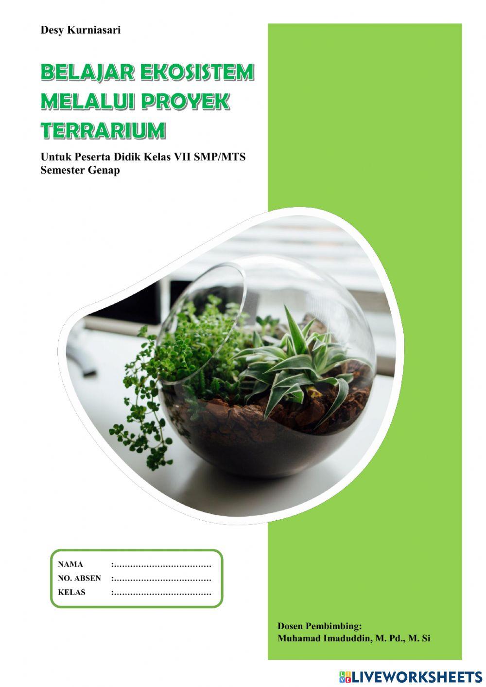 Mari Mengenal Terrarium