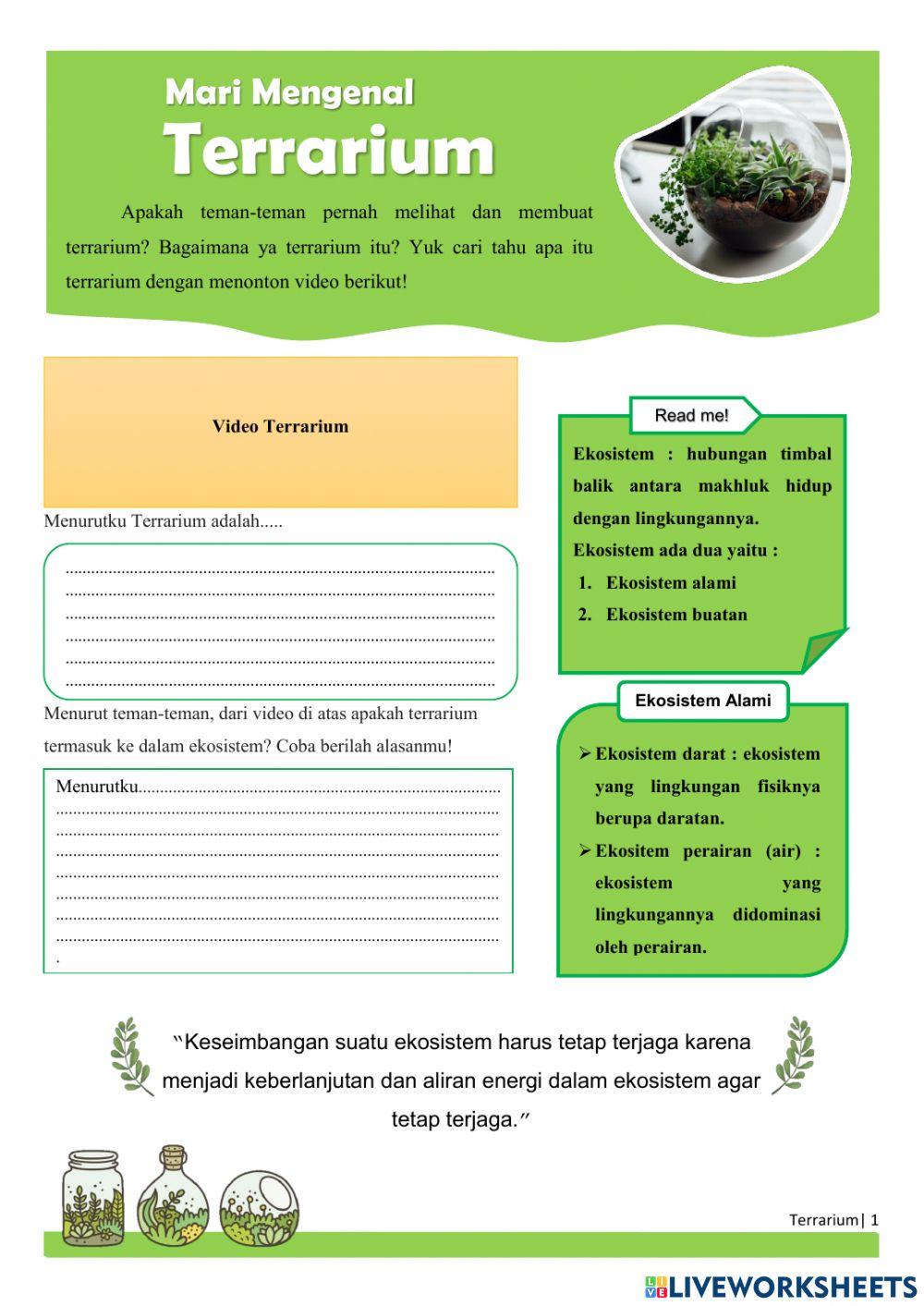 Mari Mengenal Terrarium