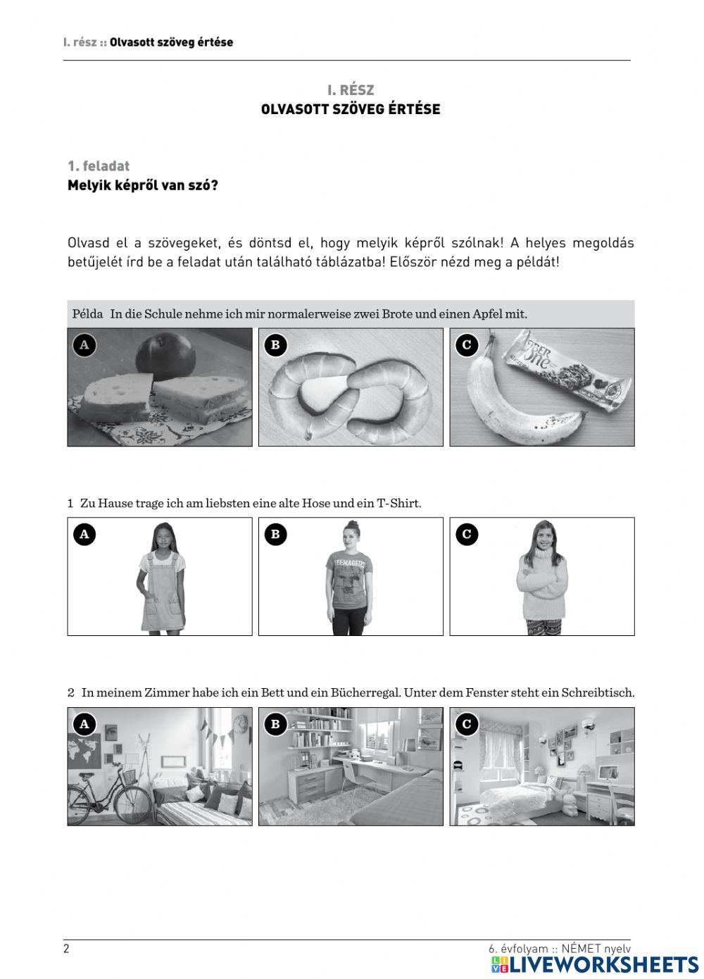 Kompetenciamérés2019