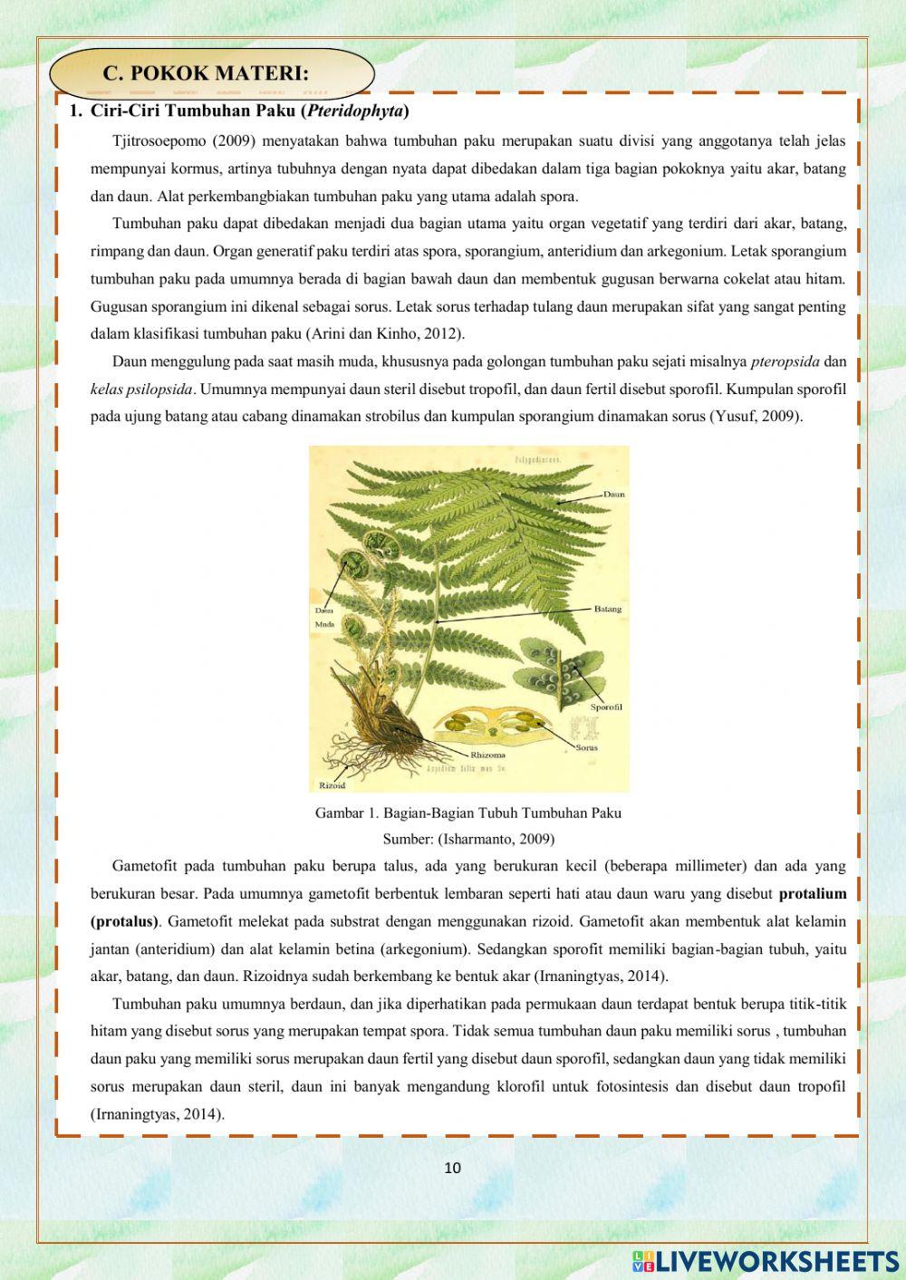 Lembar Kerja Peserta Didik 2 Tumbuhan Paku (Pteridophyta)