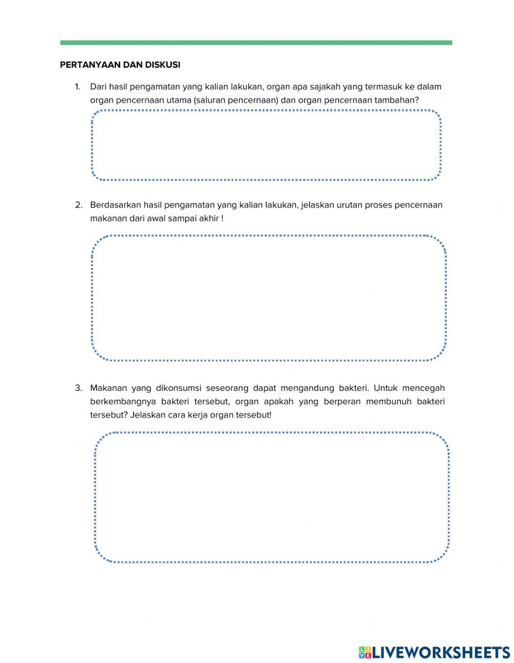 Lkpd sistem pencernaan