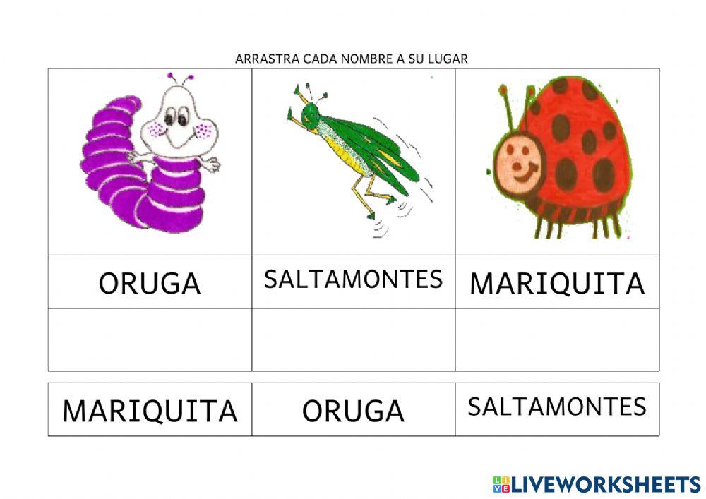 Lectura personajes Marisol the Snail